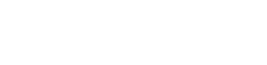BIMPulse Academy