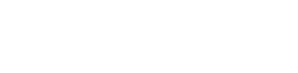 BIMPulse Academy