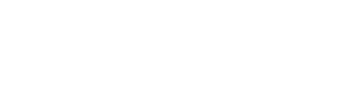 BIMPulse academy